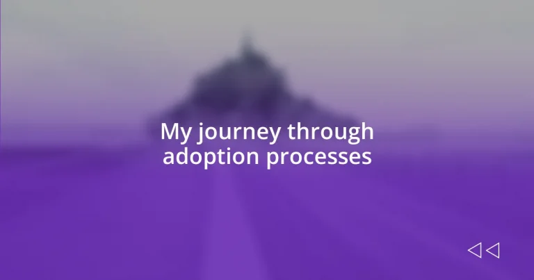 My journey through adoption processes