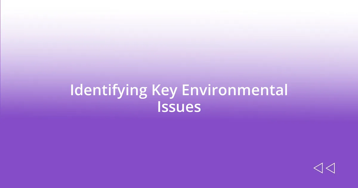 Identifying Key Environmental Issues