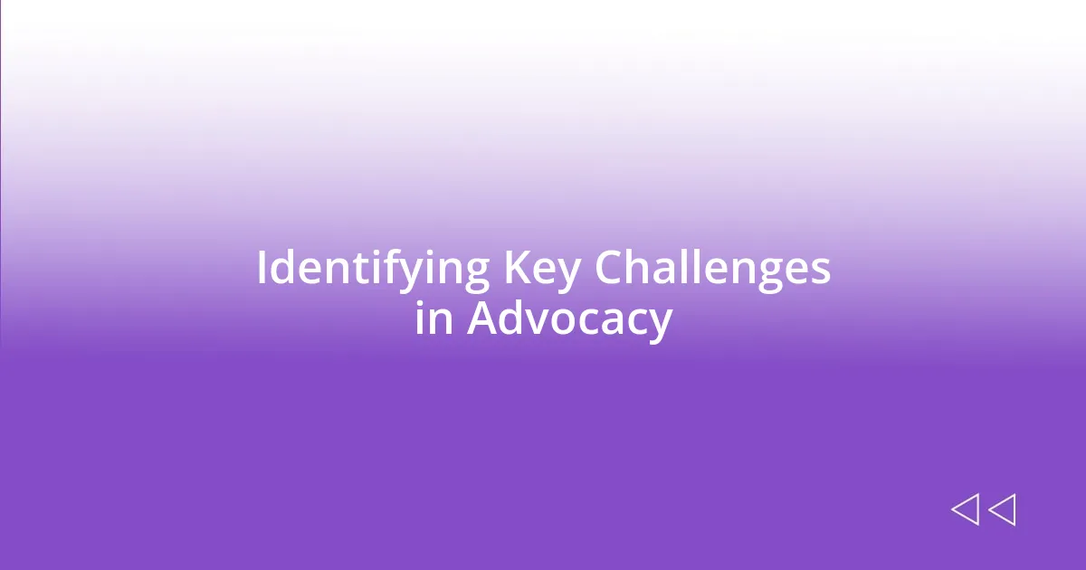 Identifying Key Challenges in Advocacy