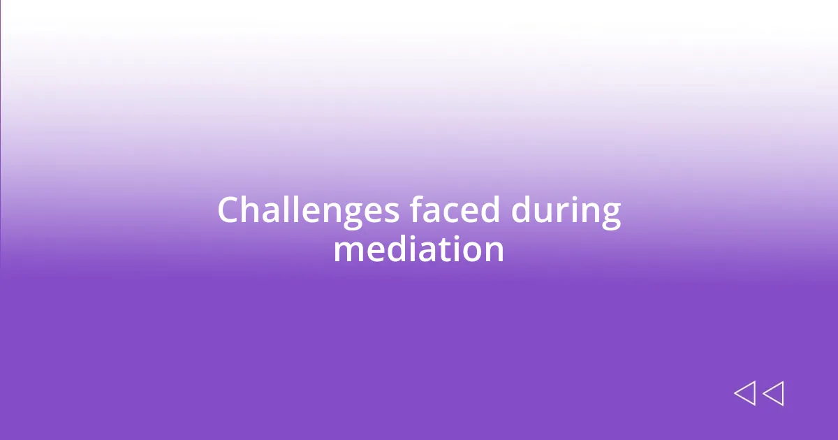 Challenges faced during mediation